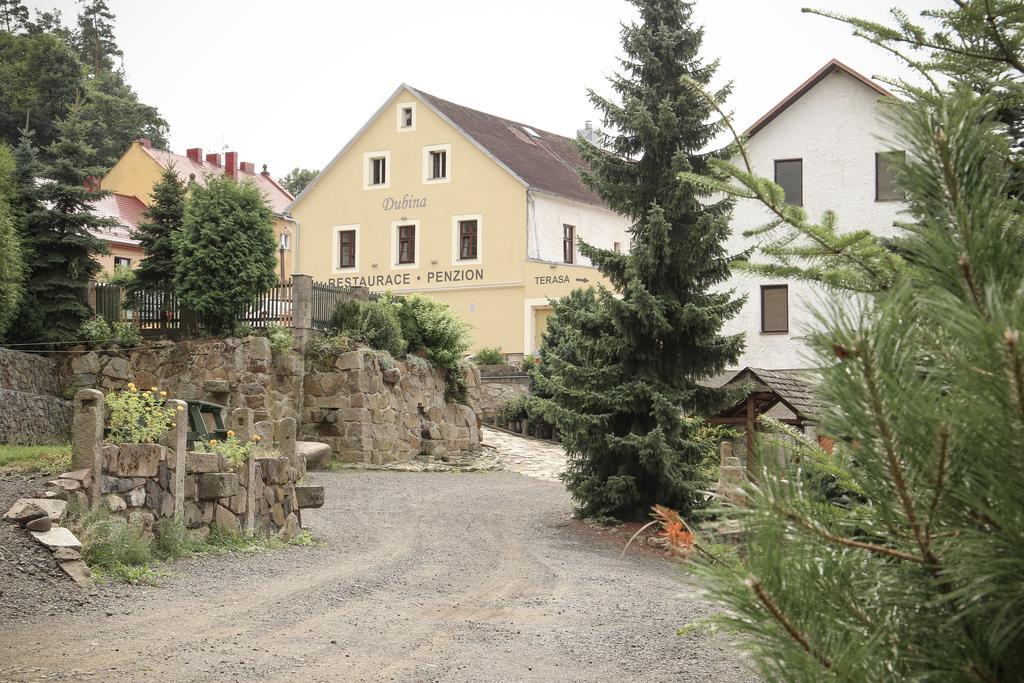 Hotel Dubina Kyselka  Zewnętrze zdjęcie